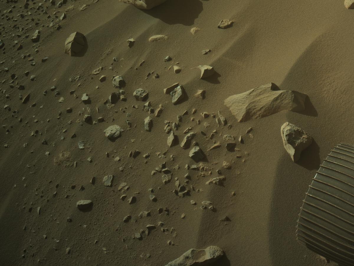 This image was taken by NAVCAM_LEFT onboard NASA's Mars rover Perseverance on Sol 903