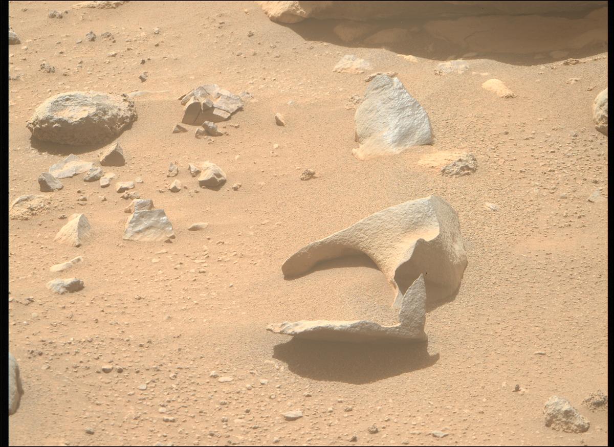 This image was taken by MCZ_RIGHT onboard NASA's Mars rover Perseverance on Sol 907