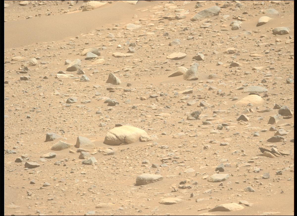 This image was taken by MCZ_LEFT onboard NASA's Mars rover Perseverance on Sol 909