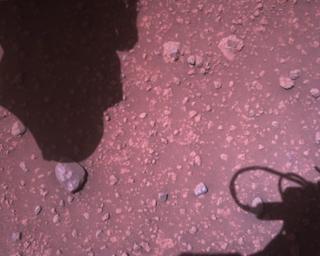 View image taken on Mars, Mars Perseverance Sol 910: Rover Down-Look Camera