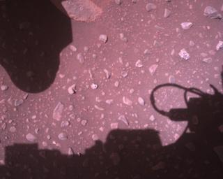View image taken on Mars, Mars Perseverance Sol 910: Rover Down-Look Camera