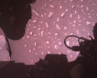 View image taken on Mars, Mars Perseverance Sol 910: Rover Down-Look Camera
