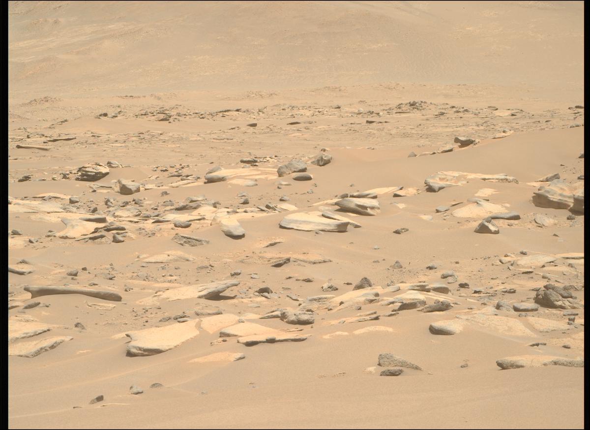 This image was taken by MCZ_RIGHT onboard NASA's Mars rover Perseverance on Sol 910