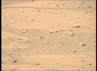 View image taken on Mars, Mars Perseverance Sol 911: Right Mastcam-Z Camera