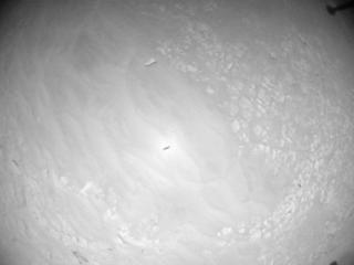 View image taken on Mars, Mars Helicopter Sol 915: Navigation Camera