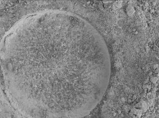 View image taken on Mars, Mars Perseverance Sol 915: WATSON Camera 