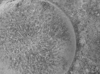 View image taken on Mars, Mars Perseverance Sol 915: WATSON Camera 