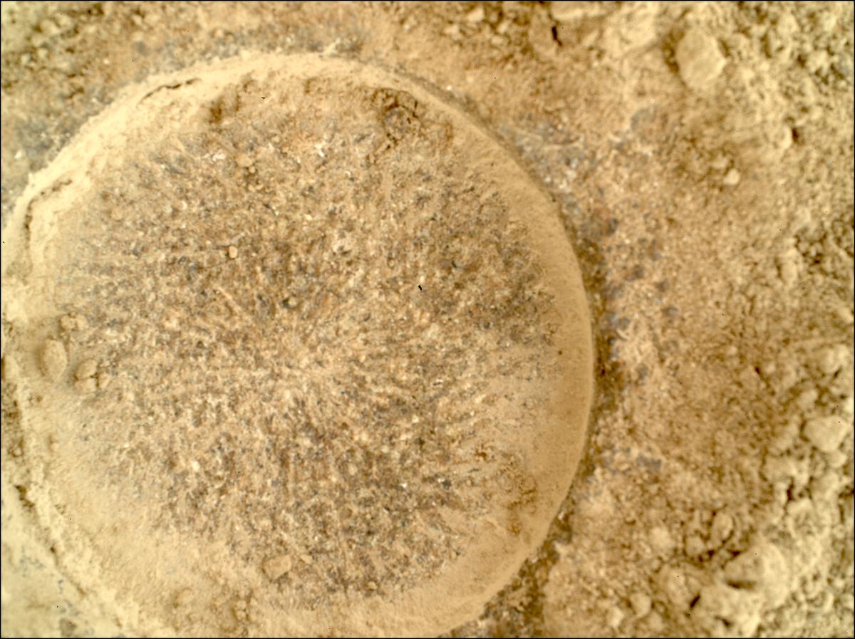 This image was taken by SHERLOC_WATSON onboard NASA's Mars rover Perseverance on Sol 915