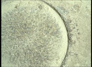 View image taken on Mars, Mars Perseverance Sol 915: WATSON Camera 