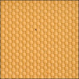 View image taken on Mars, Mars Perseverance Sol 916: WATSON Camera 