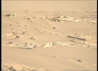 View image taken on Mars, Mars Perseverance Sol 916: Left Mastcam-Z Camera