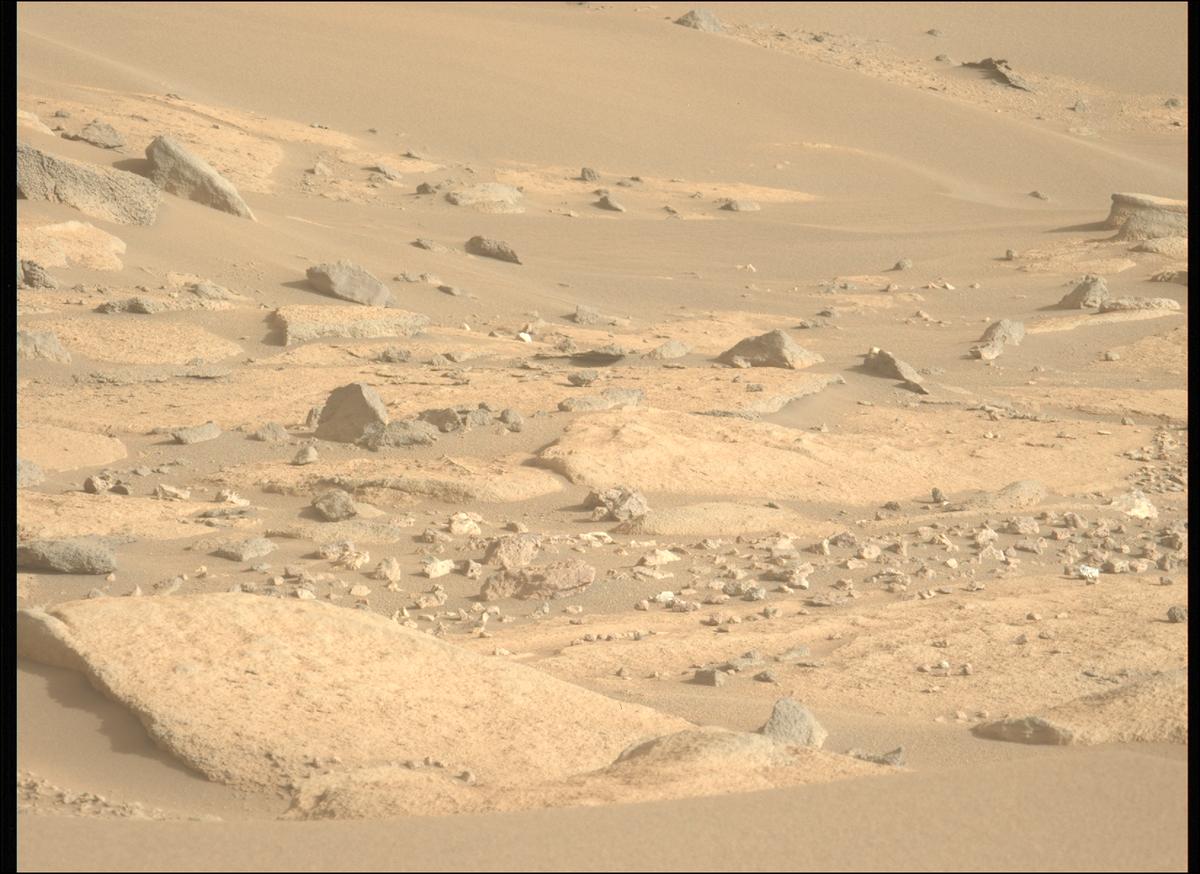 This image was taken by MCZ_LEFT onboard NASA's Mars rover Perseverance on Sol 916