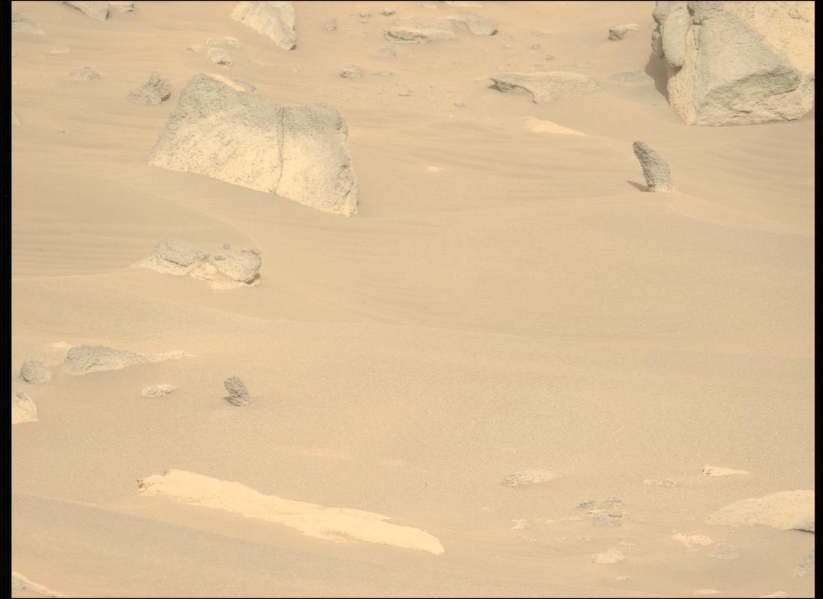 This image was taken by MCZ_LEFT onboard NASA's Mars rover Perseverance on Sol 916