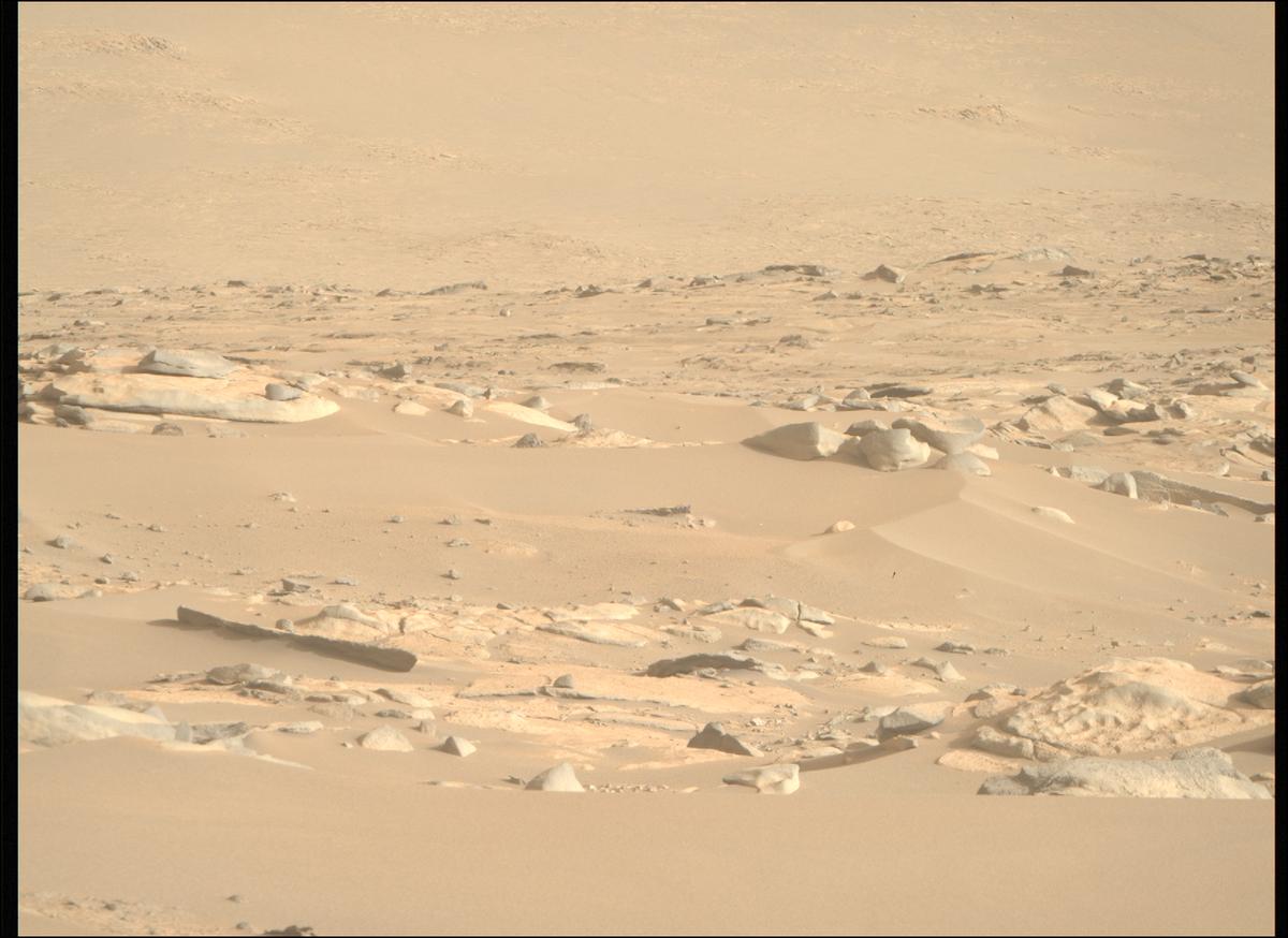 This image was taken by MCZ_RIGHT onboard NASA's Mars rover Perseverance on Sol 916
