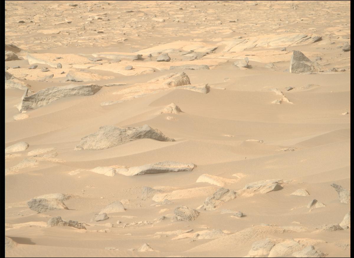 This image was taken by MCZ_RIGHT onboard NASA's Mars rover Perseverance on Sol 916