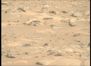 View image taken on Mars, Mars Perseverance Sol 916: Right Mastcam-Z Camera