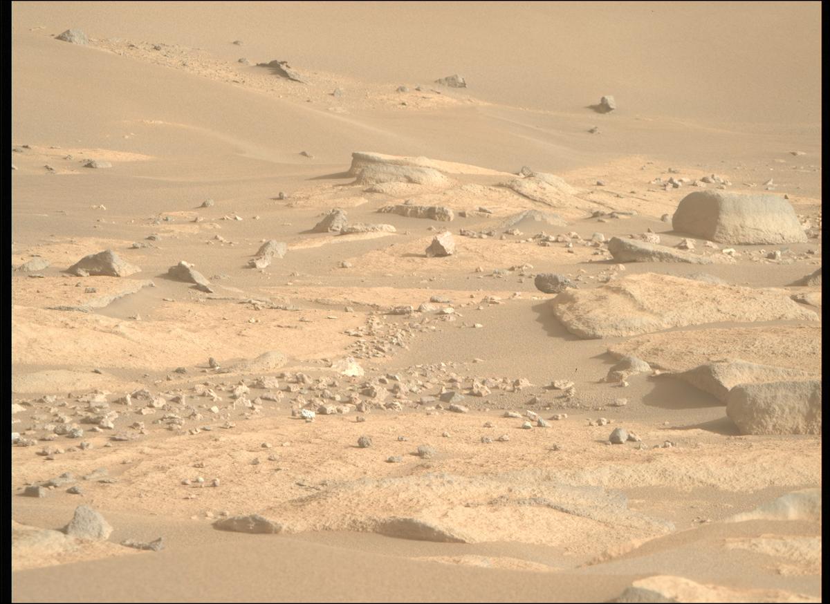 This image was taken by MCZ_RIGHT onboard NASA's Mars rover Perseverance on Sol 916