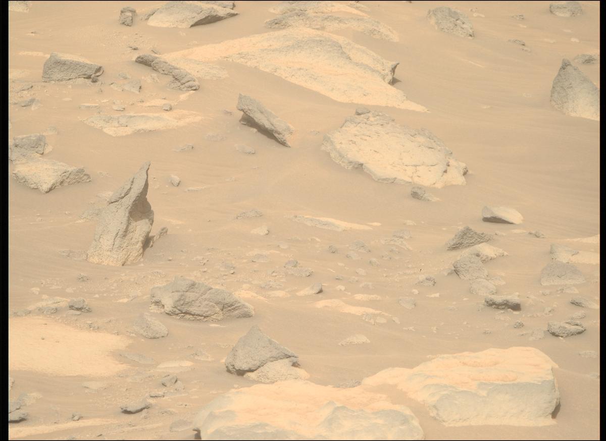 This image was taken by MCZ_RIGHT onboard NASA's Mars rover Perseverance on Sol 916