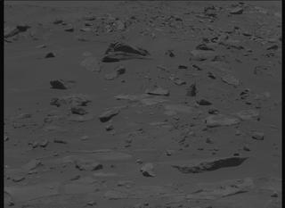 View image taken on Mars, Mars Perseverance Sol 917: Left Mastcam-Z Camera