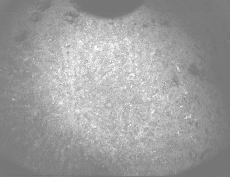 This image was taken by PIXL_MCC onboard NASA's Mars rover Perseverance on Sol 920