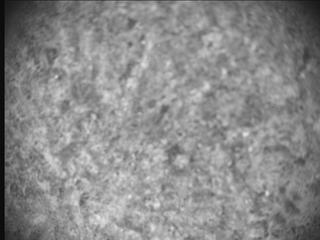 View image taken on Mars, Mars Perseverance Sol 920: SHERLOC ACI Camera 