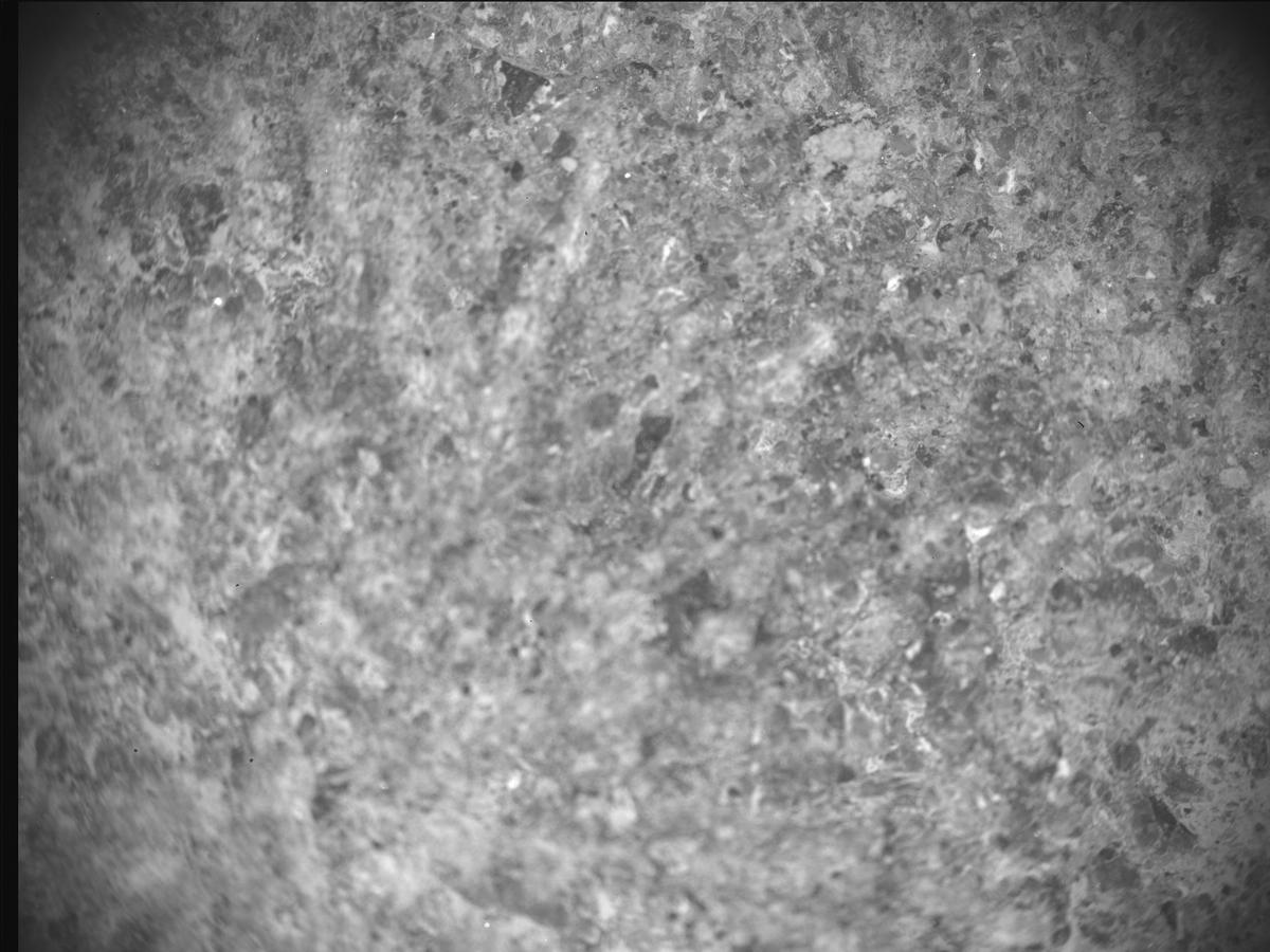 This image was taken by SHERLOC_ACI onboard NASA's Mars rover Perseverance on Sol 920