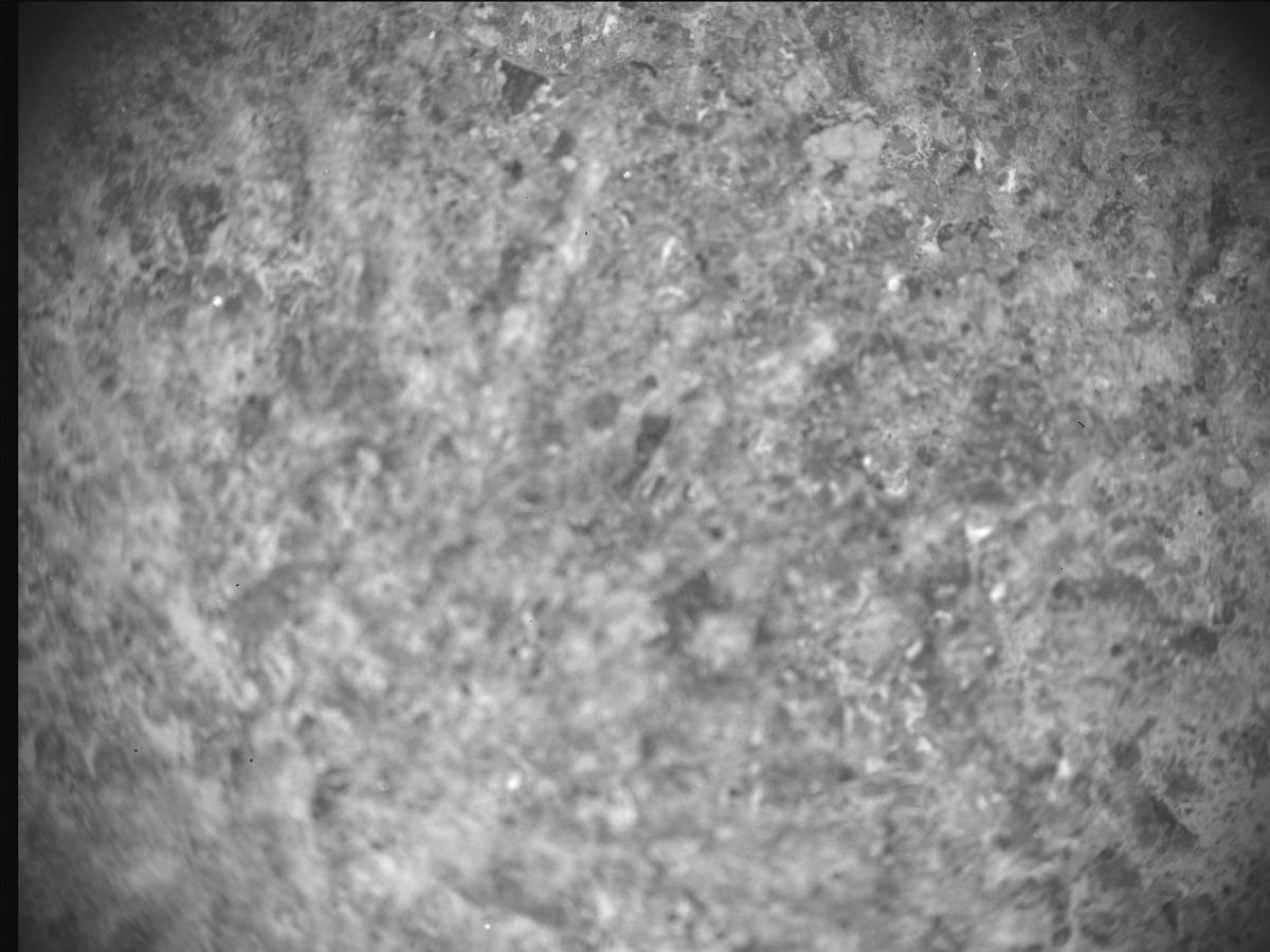 This image was taken by SHERLOC_ACI onboard NASA's Mars rover Perseverance on Sol 920