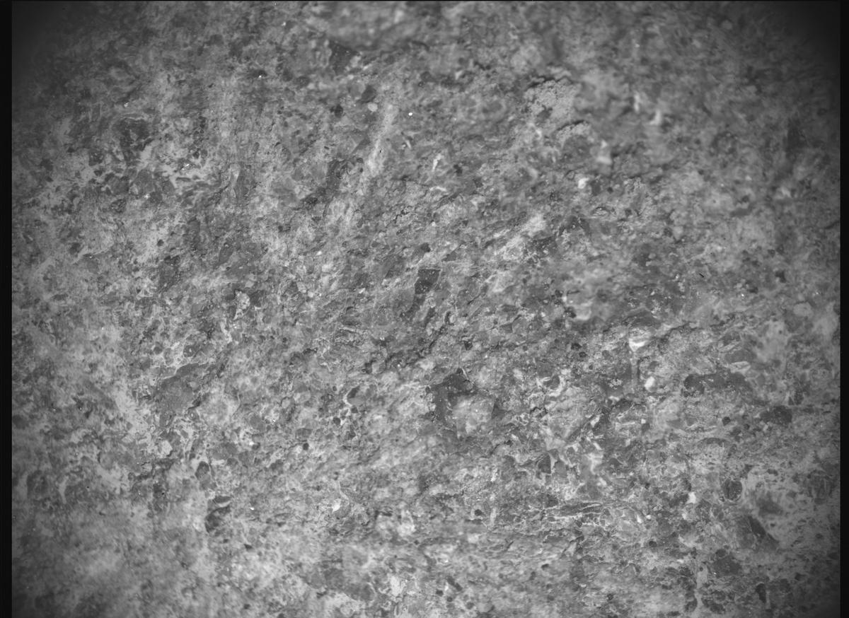 This image was taken by SHERLOC_ACI onboard NASA's Mars rover Perseverance on Sol 920