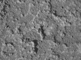 View image taken on Mars, Mars Perseverance Sol 920: WATSON Camera 