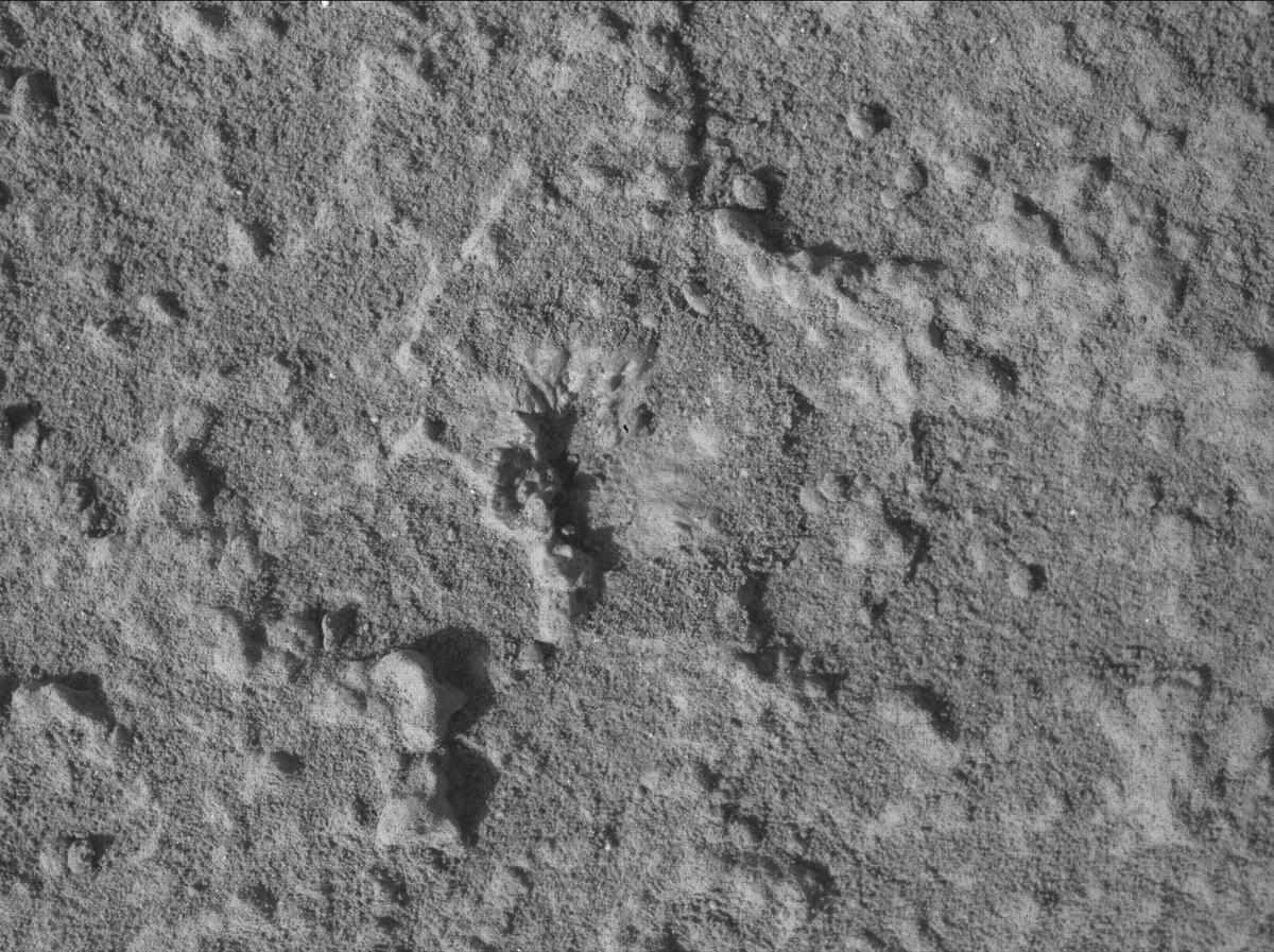 This image was taken by SHERLOC_WATSON onboard NASA's Mars rover Perseverance on Sol 920