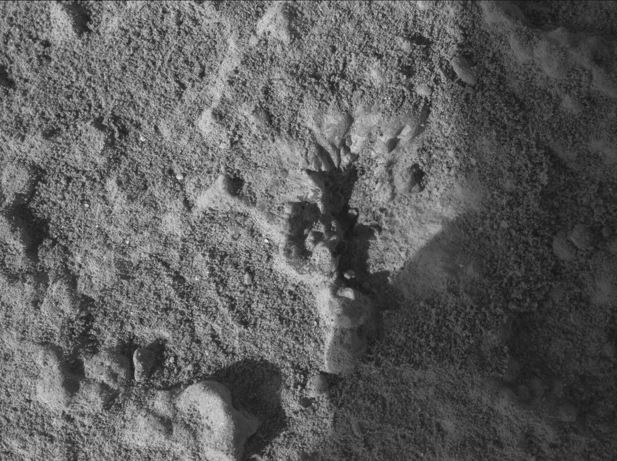 This image was taken by SHERLOC_WATSON onboard NASA's Mars rover Perseverance on Sol 920