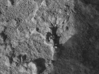 View image taken on Mars, Mars Perseverance Sol 920: WATSON Camera 