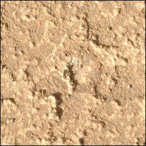 This image was taken by SHERLOC_WATSON onboard NASA's Mars rover Perseverance on Sol 920