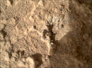 View image taken on Mars, Mars Perseverance Sol 920: WATSON Camera 