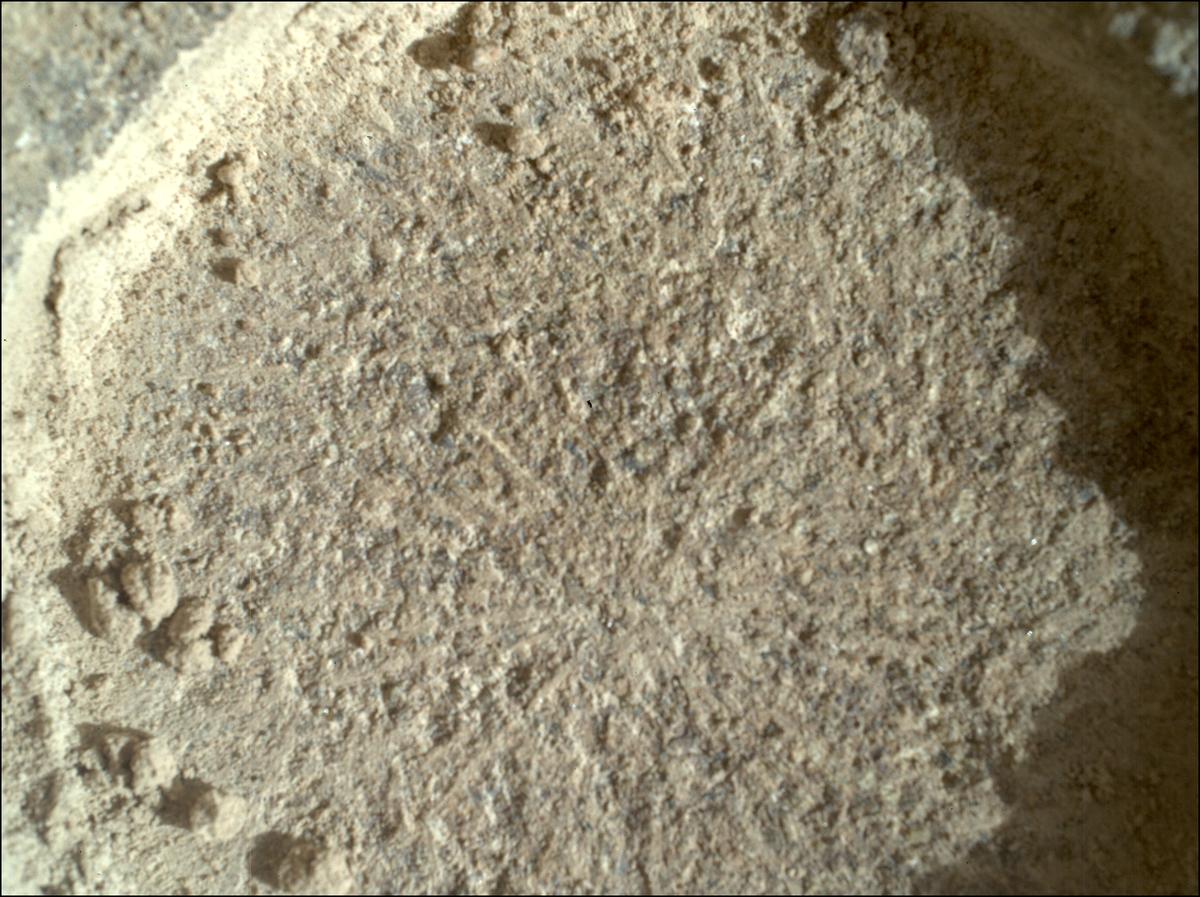 This image was taken by SHERLOC_WATSON onboard NASA's Mars rover Perseverance on Sol 920
