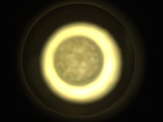 View image taken on Mars, Mars Perseverance Sol 923: Sample Caching System Camera (CacheCam)