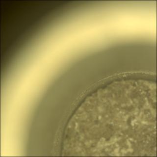 View image taken on Mars, Mars Perseverance Sol 923: Sample Caching System Camera (CacheCam)