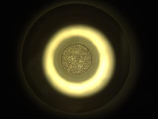 View image taken on Mars, Mars Perseverance Sol 923: Sample Caching System Camera (CacheCam)