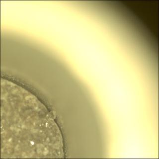 View image taken on Mars, Mars Perseverance Sol 923: Sample Caching System Camera (CacheCam)