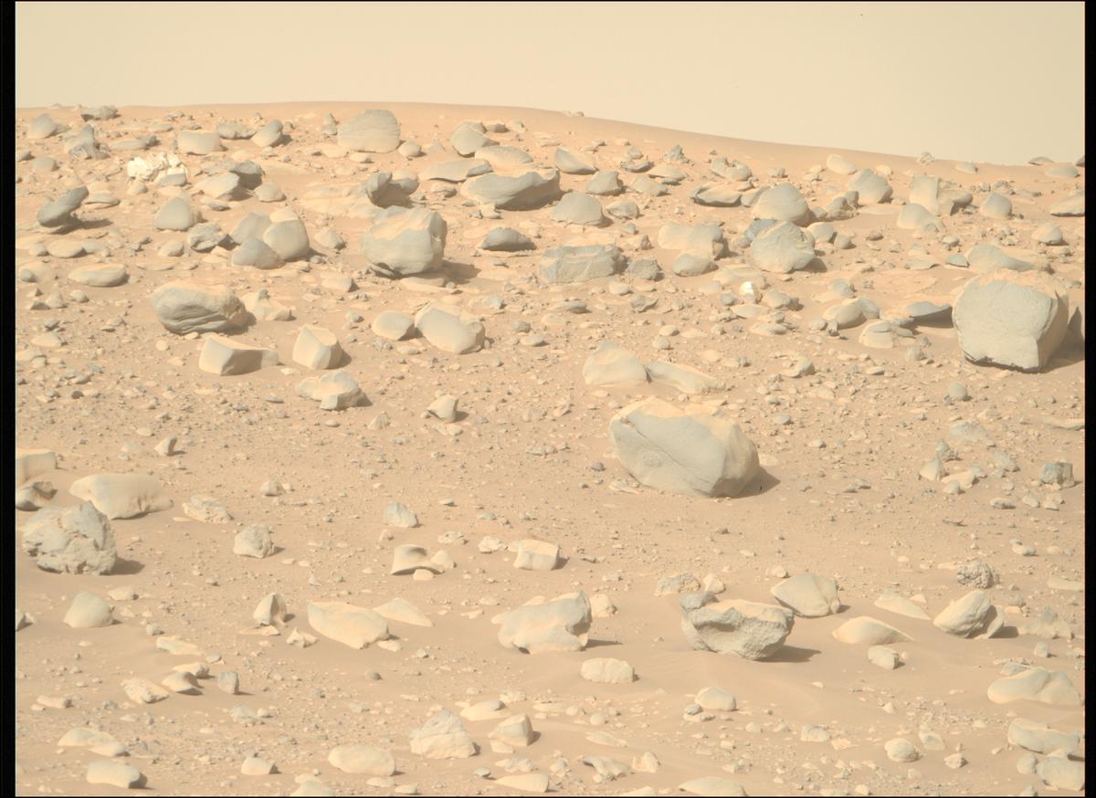 This image was taken by MCZ_RIGHT onboard NASA's Mars rover Perseverance on Sol 928
