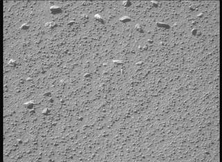View image taken on Mars, Mars Perseverance Sol 929: Left Mastcam-Z Camera