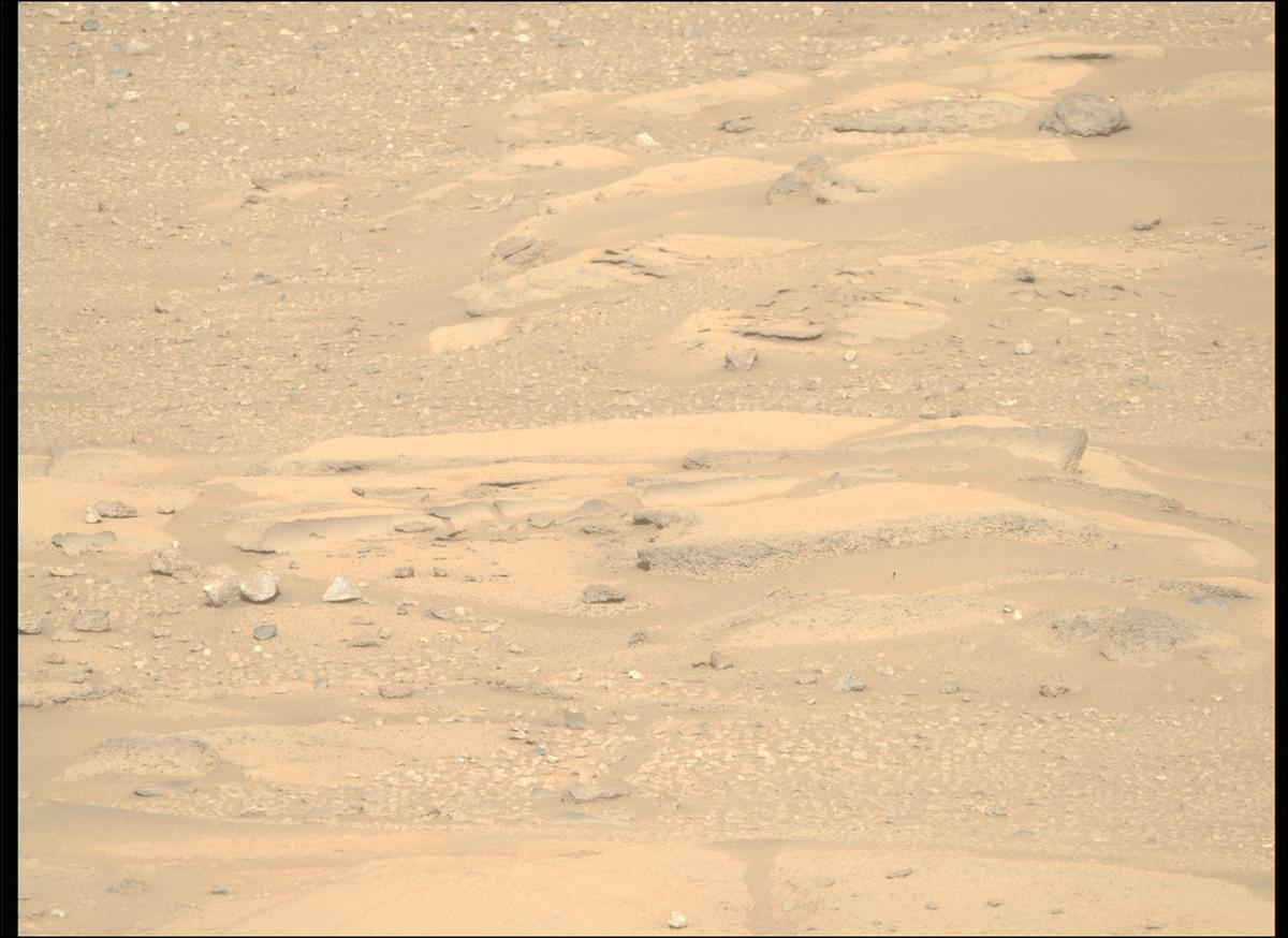 This image was taken by MCZ_RIGHT onboard NASA's Mars rover Perseverance on Sol 929
