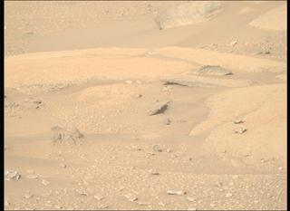 View image taken on Mars, Mars Perseverance Sol 929: Right Mastcam-Z Camera