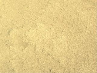 View image taken on Mars, Mars Perseverance Sol 933: Right Navigation Camera (Navcam)