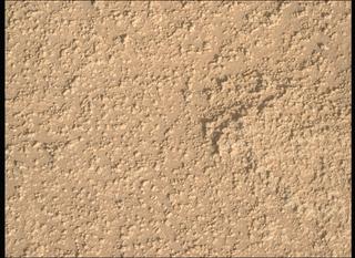 View image taken on Mars, Mars Perseverance Sol 933: Right Mastcam-Z Camera