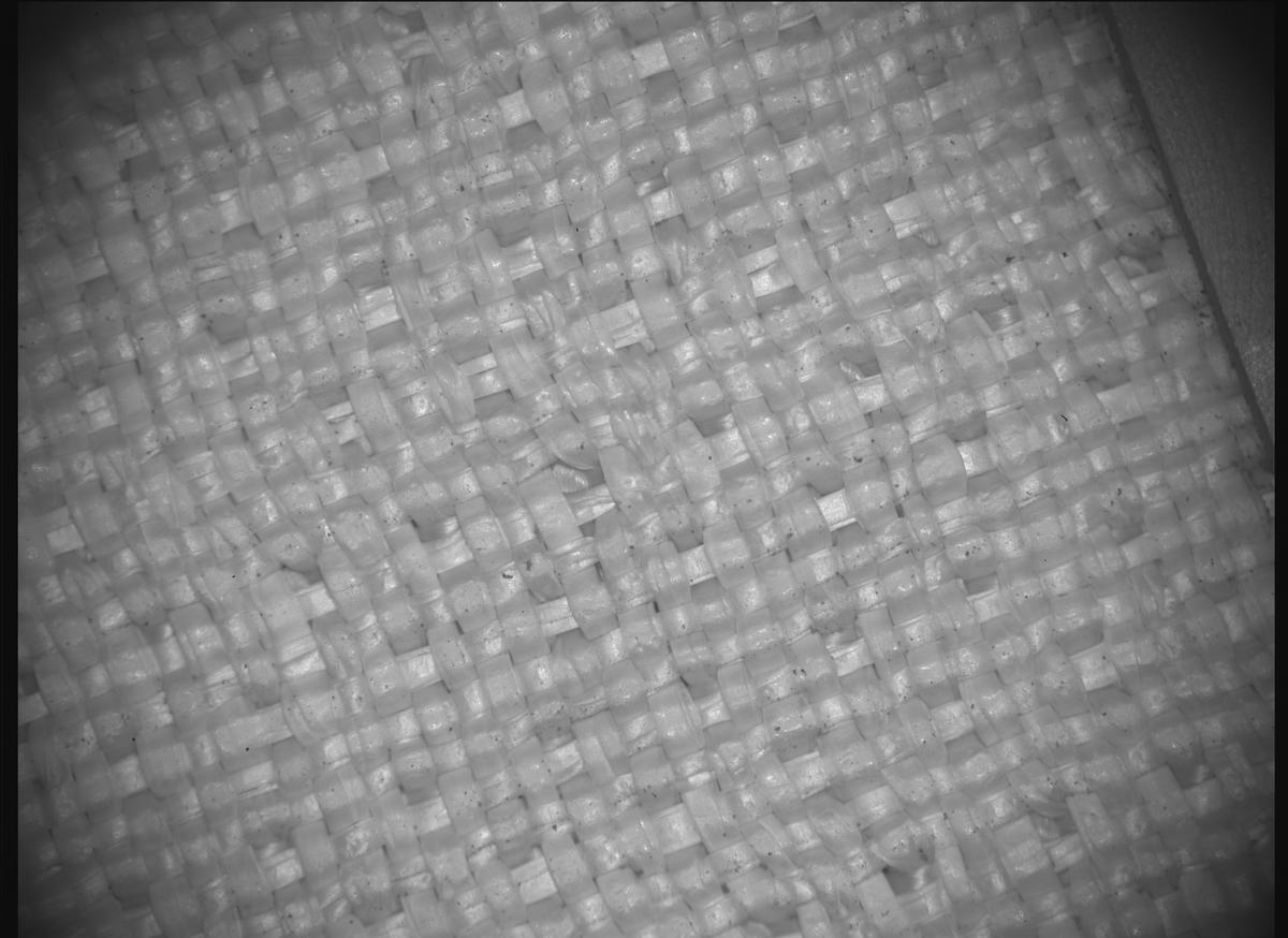 This image was taken by SHERLOC_ACI onboard NASA's Mars rover Perseverance on Sol 935