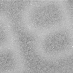 This image was taken by SHERLOC_ACI onboard NASA's Mars rover Perseverance on Sol 935