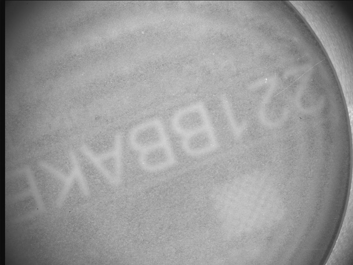 This image was taken by SHERLOC_ACI onboard NASA's Mars rover Perseverance on Sol 935