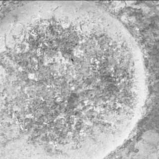 View image taken on Mars, Mars Perseverance Sol 935: WATSON Camera 