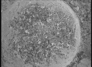 View image taken on Mars, Mars Perseverance Sol 935: WATSON Camera 